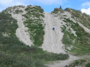 Marion is trekpaard