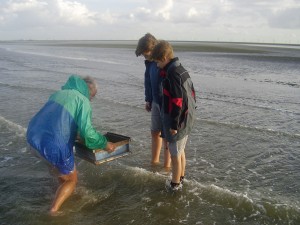 Klik hier voor meer...