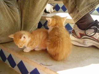 ...die waren zooooo lief