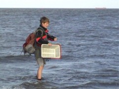 beeld uit de video, Janwillem loopt door de Waddenzee