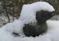 Winterkoninkje van Jenny