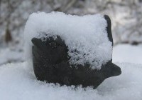 Winterkoninkje van Gijs