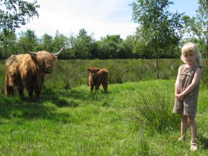 we blijven op gepaste afstand