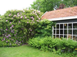 de deur is onder de rodondendron door