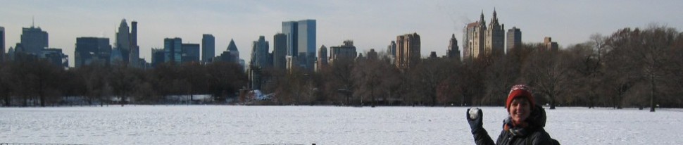 sneeuwballen gooien in Central Park