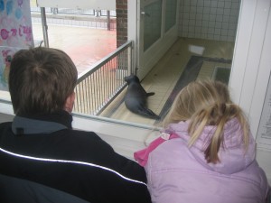 Klik hier voor meer...