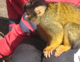 toch even op de schoot, helaas niet bij ons