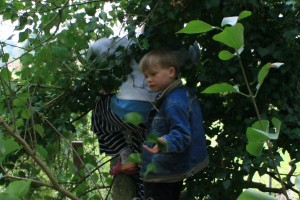 Silas in de boom, Jomas valt er even later uit