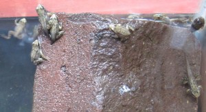 Klik hier voor meer...