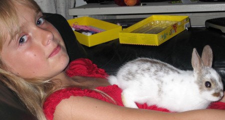 Klik hier voor meer...