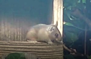 Klik hier voor meer...