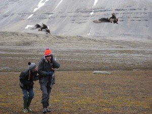 Klik hier voor meer...