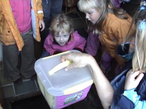 de schat lag in de kruipruimte onder de deurmat