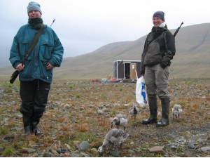 Freya van Kesteren and Suzanne Lubbe are making a walk with the goslings. They carry a gun for protection against polar bears. On the background you can see the small hut, which is the base on the study site. Double click to see a video
