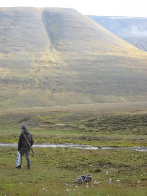 Moving through the impressive landscape of Spitsbergen