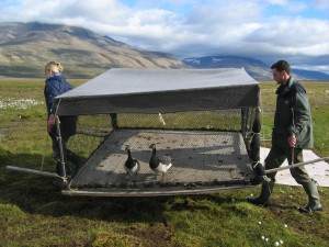 On the move. Double click on picture for video