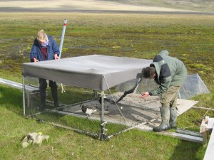 Moving the cage on the vegetation plot