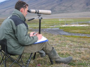 Dries observing the geese grazing the plots. Click to read more...