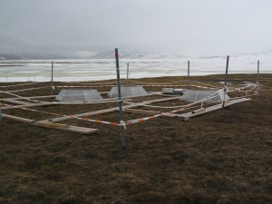 The dry site on 8 June 2005