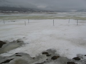 The wet plots are still covered with snow. Click to read more...