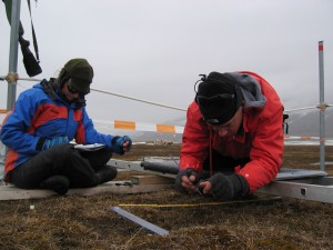 Measuring in plots with a ambient temperature treatment