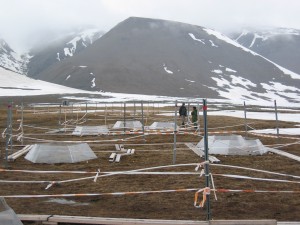 The site has an impressive infrastructure