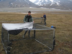 The cages get a closed roof to prevent the geese from flying upward