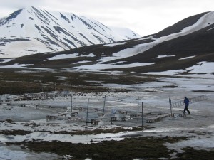 The snow has melted a lot at the wet site and measurements have started