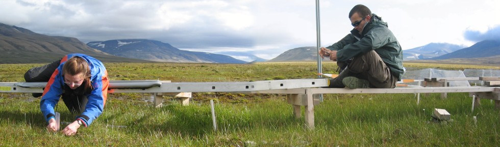 Terra Birkigt and Chris Gillespie