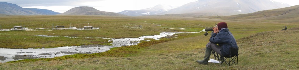 Observations from a distance: Theresa Walther and Dries Kuijper