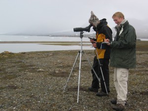 Daan Vreugdenhil and Jurjen Annen counting geese on the tundra
