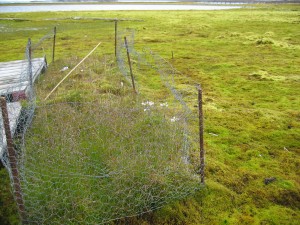 An exclosure study near lake Solvatnet