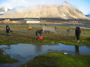 Geese are caught, people around the net prevent the geese from hitting the net