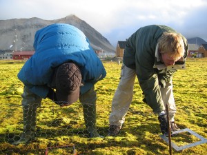 Measuring vegetation cover by point quadrating. Click for video.