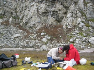 Krikjefjellet