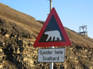 Warning for polar bears outside Longyearbyen. Click to read more...