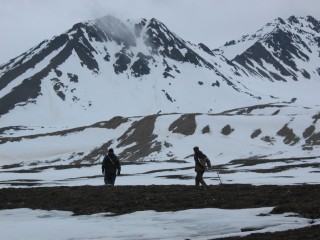 ... on Spitsbergen