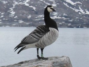 The work at the start of the season. Click to read more...