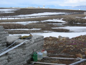 Colder environment: 50 meters higher on the mountain