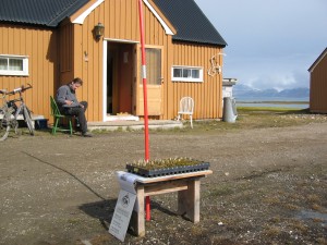 Normal environment: in front of our station