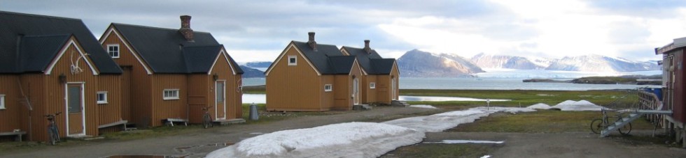 View to the east. The second house from the left is The Netherlands Arctic Field Station
