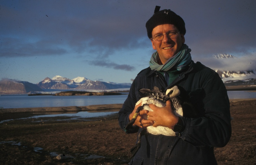 Maarten Loonen heeft op Spitsbergen deze brandgans met een gele individuele ring met de inscriptie VSB geringd