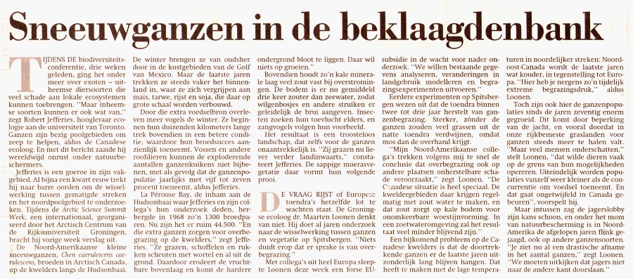Parool zaterdag 4 mei 2002