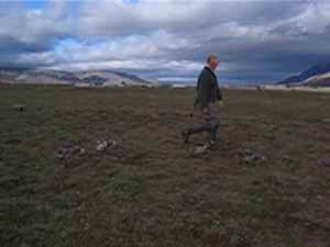 Klik hier voor de video