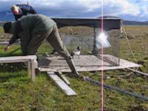 Klik hier voor de video