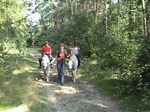 Klik hier voor de video