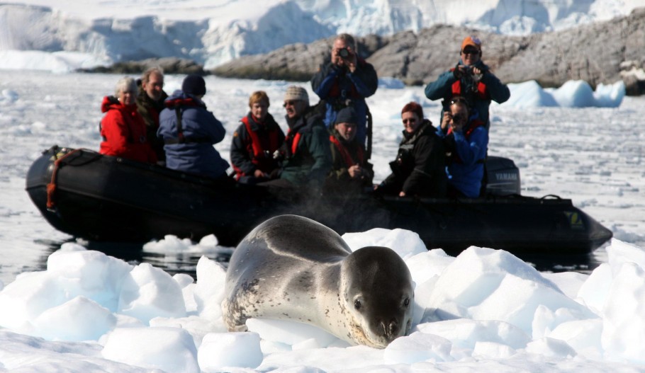 foto Rolf Stange (www.spitzbergen.de) leopard seal and me as skipper