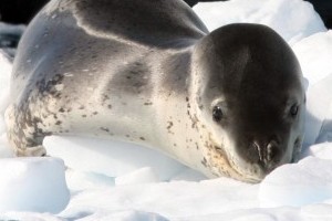 Klik hier voor meer...